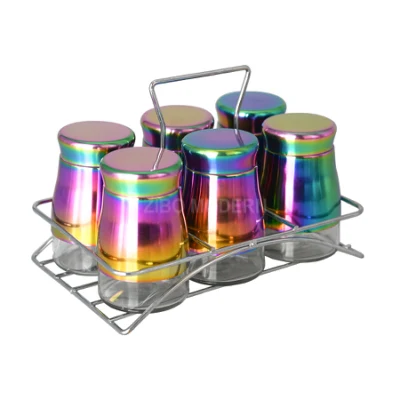 Stockage d'épices en verre et en acier inoxydable de couleur arc-en-ciel/étagère à pots organisation d'herbes de comptoir pour la maison et la cuisine ensemble de 6